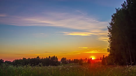 Luz-Del-Sol-De-La-Hora-Dorada-Sobre-Los-Campos-De-Primavera-En-El-Campo