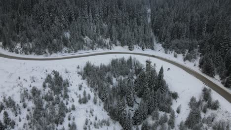 Verschneite-Autobahn-Im-Wald