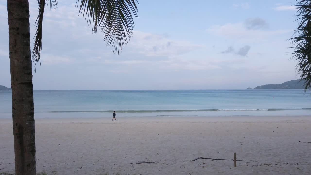 video de verano 4k de la playa con palmeras de coco bajo el sol durante el día con playa de arena blanca y cielo azul claro en video uhd 4k de 50fps