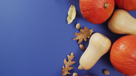 Video-of-pumpkins-with-acorns-and-autumn-leaves-on-blue-background