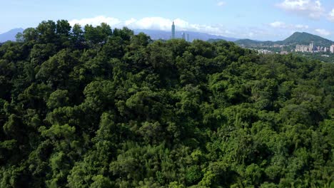 toma de revelación aérea del bosque verde y el paisaje urbano gigante de la ciudad de taipei con la famosa torre 101 en el fondo - toma de alta calidad prores