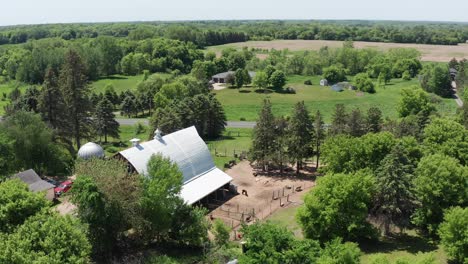 aerial descending close-up shot of a llama farm in minnesota