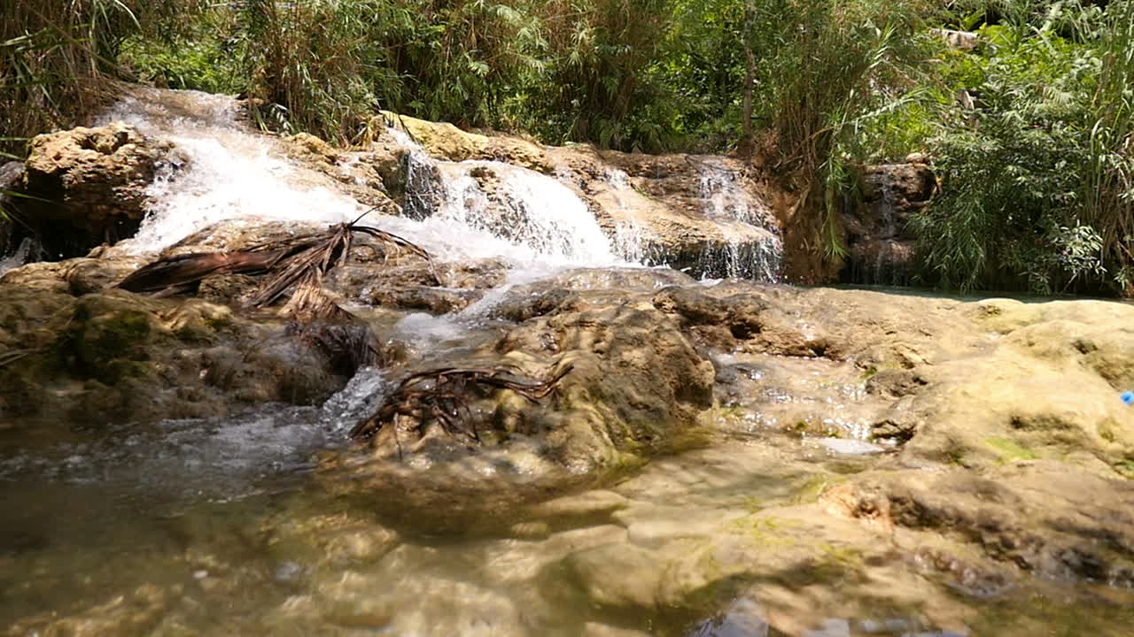 hermosa cascada en un bosque exuberante