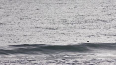 Surfer-Waiting-for-Waves-and-Boat-Going-Past,-Wide-Shot