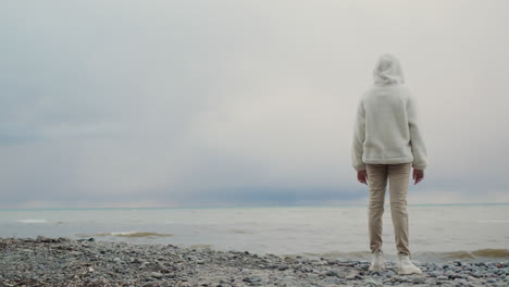 a teenage girl stands on the shore of lake ontario against the backdrop of a beautiful evening sky, rear view