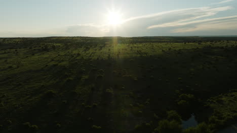 vista aérea de un paisaje de hierba al atardecer