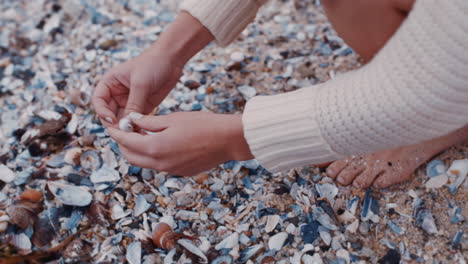 close up woman hands collecting seashells on beach enjoying beautiful natural variety tourist holding shells