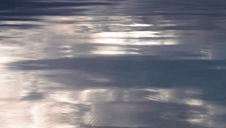 las ondas y las olas bajas corren sobre la superficie del agua iluminada por el sol