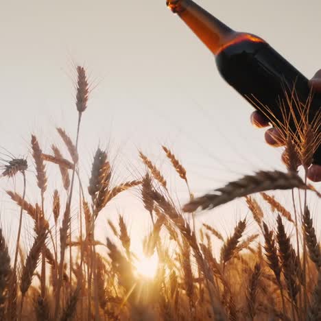 manos con botellas de cerveza chocan contra el fondo de un campo de trigo 2