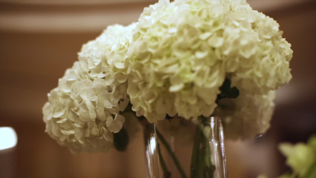 하 호드렌지아 꽃 배열