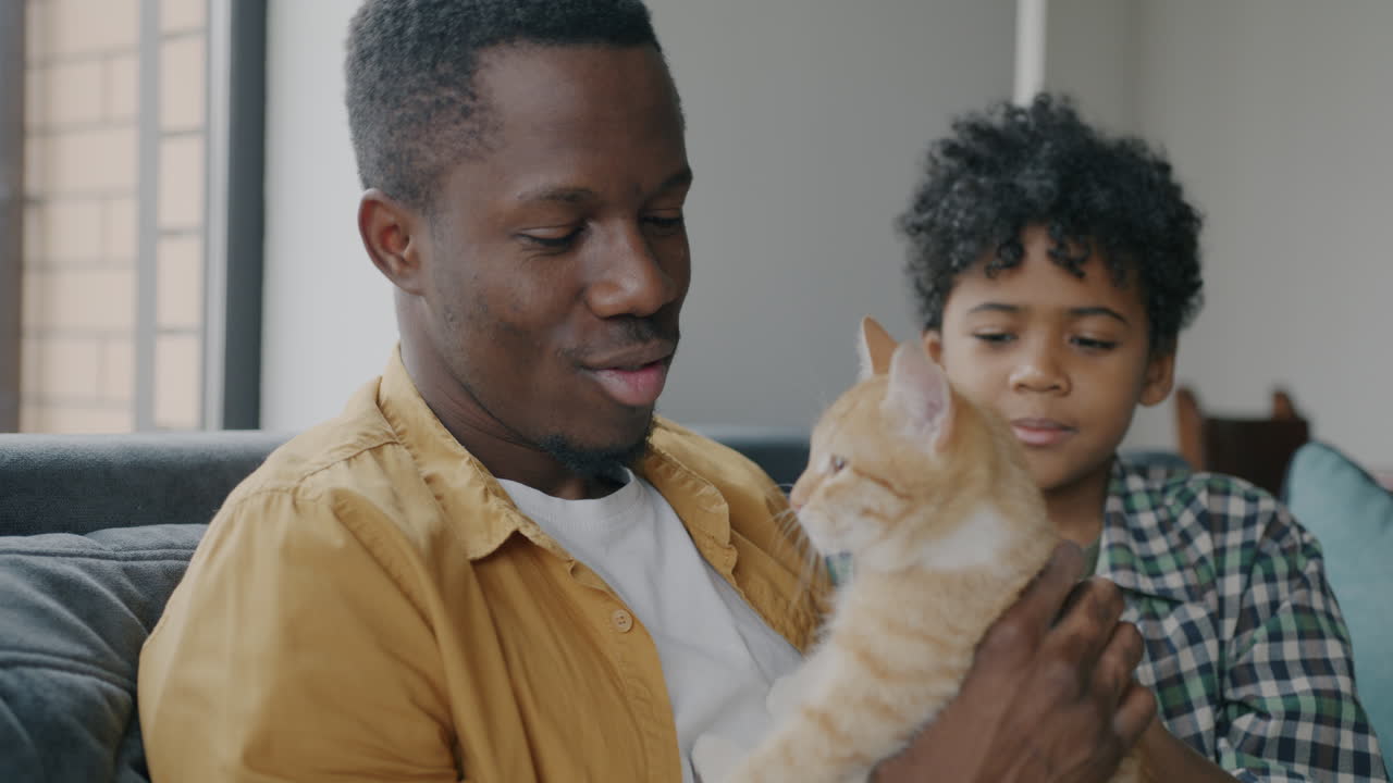 Father and Son Spending Time with a Cat