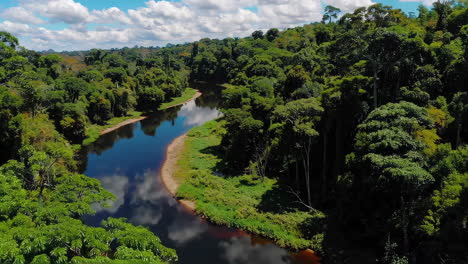 amazon river and rainforest from above
