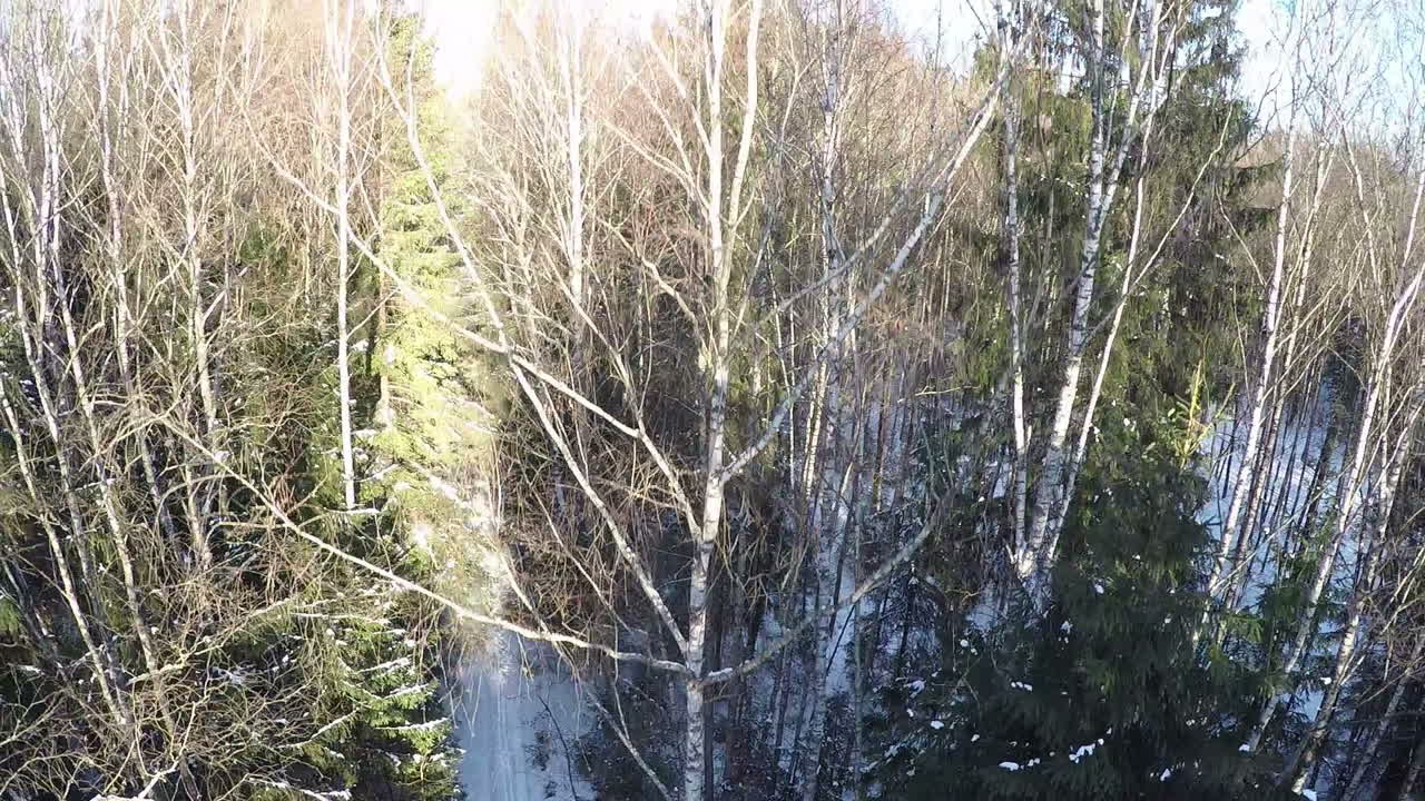 escena aérea en el bosque de invierno