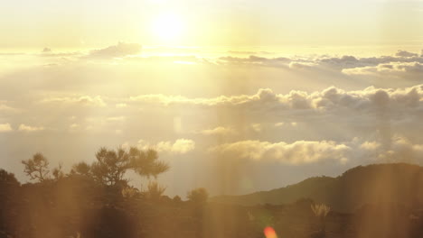 bliss viewing paradise scenery at teide national park spain