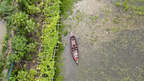 muchachos remando en un bote tradicional de madera en un humedal inundado en bangladesh