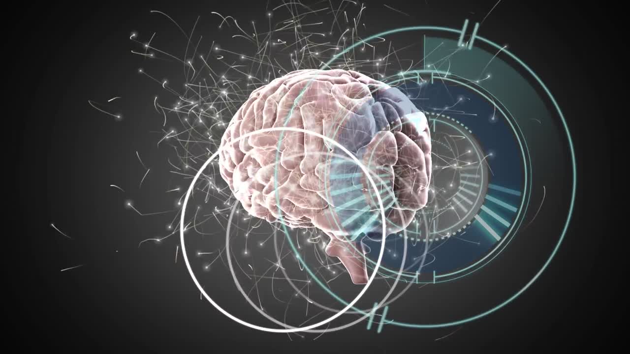 animación de círculos y escaneo de alcance sobre el cerebro digital sobre fondo negro