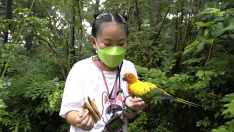 Niña-Asiática-Con-Pájaro-Amoroso-En-La-Mano,-Niña-Asiática-Jugando-Con-Pájaro-Sol-Conure-Pájaro-Loro-En-El-Zoológico,-Gran-Sonrisa-En-La-Cara,-Usando-Máscara-Facial,-Viajar-En-Una-Era-De-Covid-19