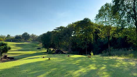 lush green golf course surrounded by trees