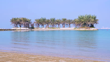 hermosas palmeras en la pequeña isla con mar azul tranquilo sobre el cielo en amwaj, bahrein