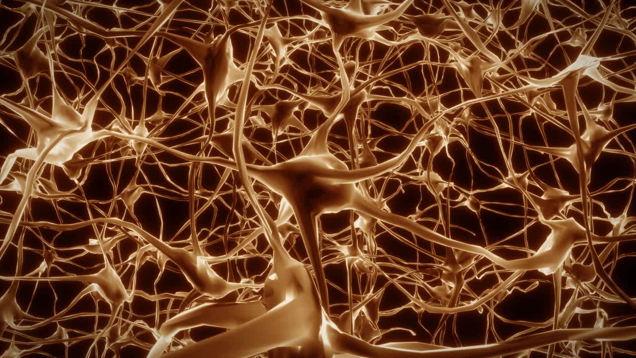 neuronas cerebro mente axón pensamiento red neuronal holograma célula ciencia de la salud 4k