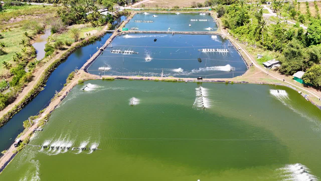 Drone footage captures a shrimp farm in Phuket, Thailand, showcasing aeration systems and lush surroundings under bright daylight
