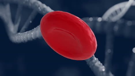 animation of blood cell and dna strands on black background