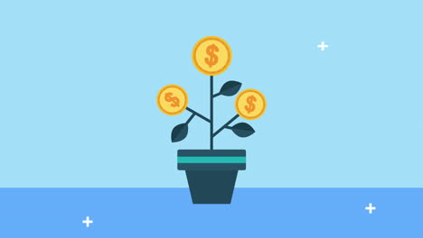 coins money dollars plant economy