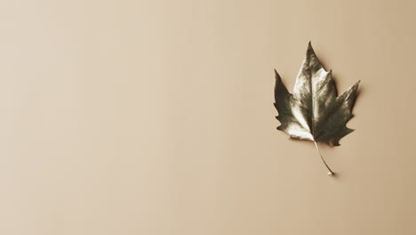 video von halloween herbst metallisches blatt mit kopierraum auf gelben hintergrund