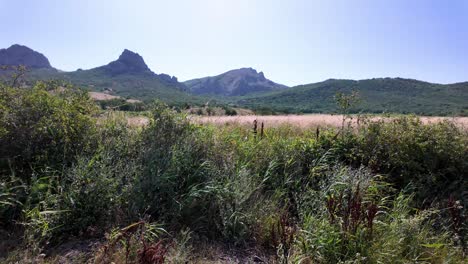 A-view-of-the-mountains-in-Sudak,-Crimea,-Russia,-with-tall-grasses-and-lush-greenery-in-the-foreground