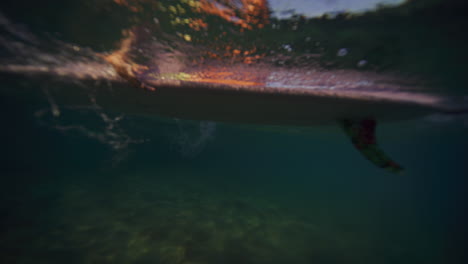 vista lateral bajo el agua de un surfista remando una tabla larga con ambos brazos