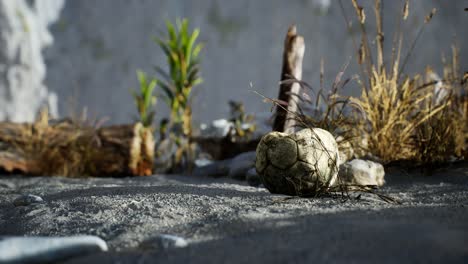 Una-Vieja-Pelota-De-Fútbol-Rota-Tirada-Yace-En-La-Arena-De-La-Playa-Del-Mar