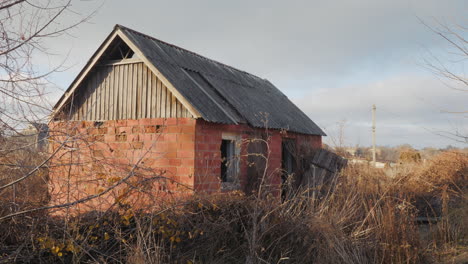 abandoned brick and wood outbuilding in a weedy garden