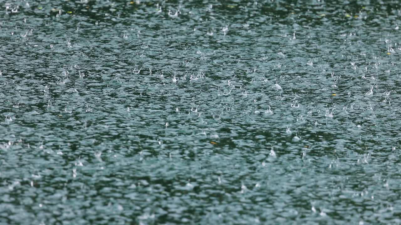 Abstract background, rain drops on the water.