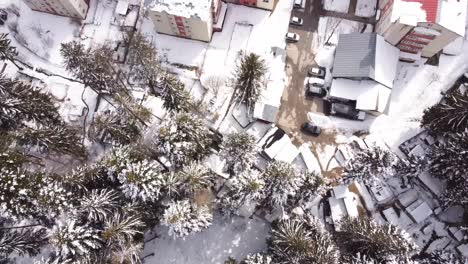 Volando-Sobre-Pinos-Y-Bloques-De-Pisos-Cubiertos-De-Nieve