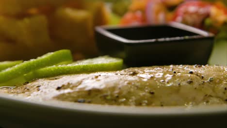 slow orbit and focus rack of plate with polenta fries, salad and red snapper filet