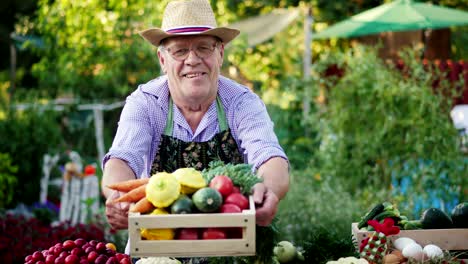 an elderly farmer is selling vegetables on the farm market