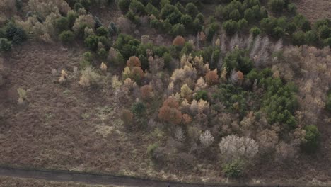 Natürliche-Schönheit-Der-Isländischen-Landschaft-Mit-Bewaldeten-Hügeln-Und-Dem-See-Vifilsstadavatn