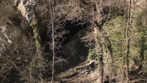 view of green river surrounded by woodland and stone in bright sunlight