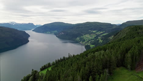 Aerial-shot,-camera-pans-over-a-densely-wooded-hillside-to-reveal-a-Fjord-stretching-out-into-the-distance,-winding-between-the-steep-hills-and-snow-capped-mountains-of-Ålfotbreen-in-Norway