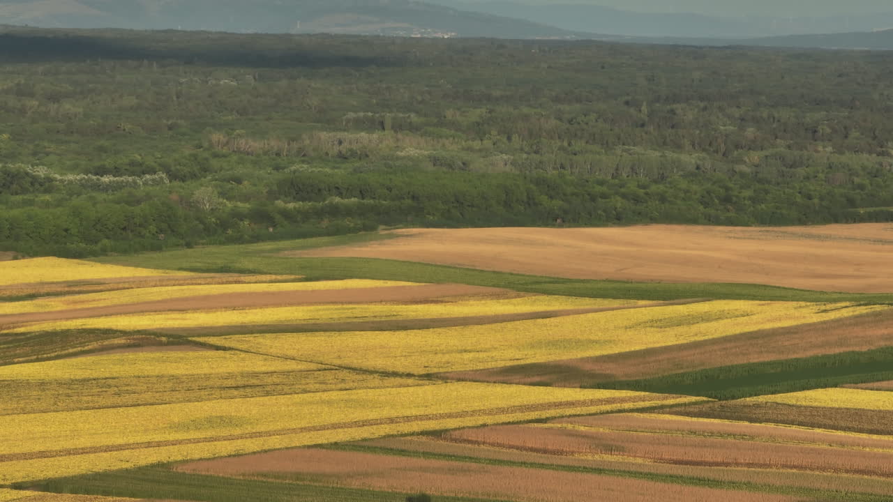 воздушный вид сельскохозяйственных полей и лесов