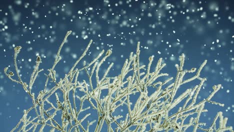 snow covered tree and snowfall