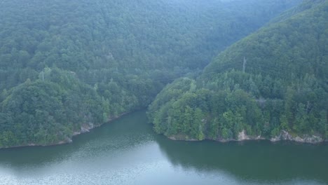 和平的湖泊和森林景色