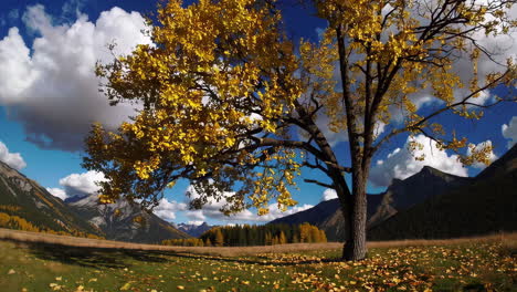 autumn landscape with golden tree