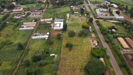 a tarmac road in between settlement and the maize field farms