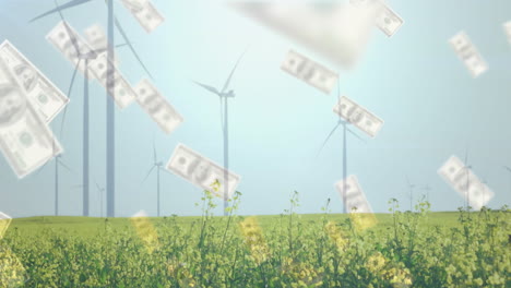 wind turbines in field with money falling animation