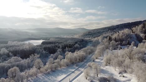 Winterlandschaft-Mit-Wald-Von-Der-Drohne