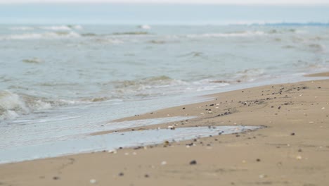 Seashells-on-the-white-sand-beach-in-summer,-calm-waves,-Baltic-sea-coastline,-summer-vacation,-relaxation,-ocean,-travel-concept,-low-medium-wide-shot