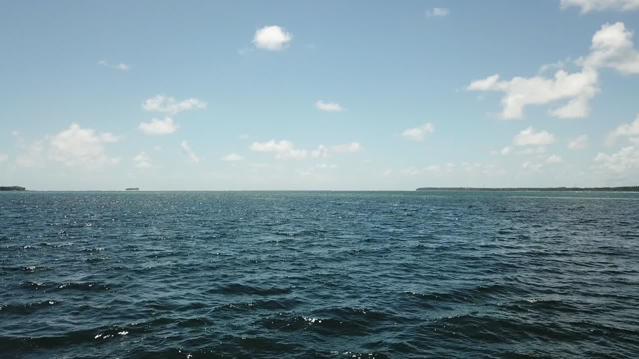 물 위 를 낮게 날아다니는 새 의 눈