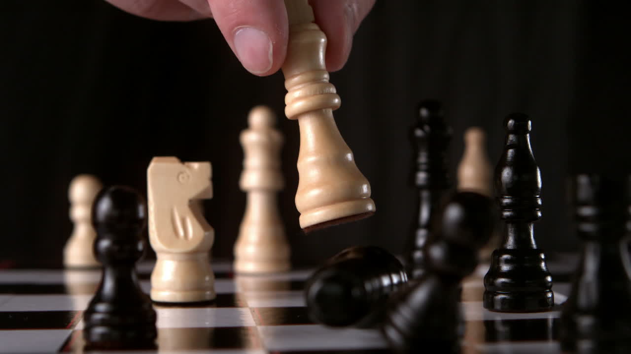 색 왕이 검은색 왕을 두드리는 것