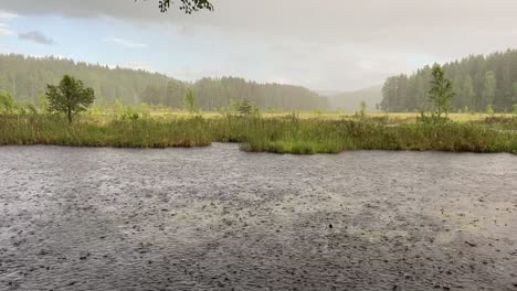 Heavy-rain-pours-over-Nøklevann,-creating-ripples-on-the-water's-surface,-with-the-swampland-and-pine-forest-forming-a-dramatic-backdrop